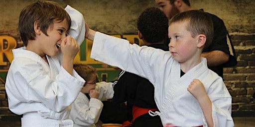 Primaire afbeelding van Free Beginner Martial Arts Intro Course for Kids Ages 3-4!
