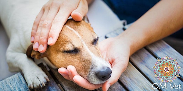 Curso de Reiki 2 - para animais e pessoas (estudante estado SP).