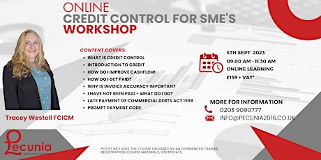 ONLINE Credit Control for SME's primary image