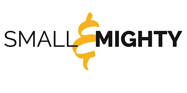 Small and Mighty Summit 2019 | Ask an Expert - BDC Edition