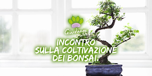 Incontro sulla coltivazione dei bonsai