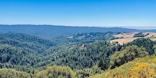 Morning Hike from Skyline Ridge to Russian Ridge