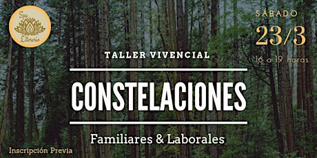 Imagen principal de Constelaciones Familiares & Laborales 
