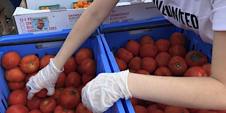 Hamden Mobile Pantry primary image