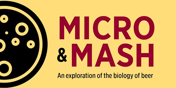 Micro & Mash: An exploration of the biology of beer