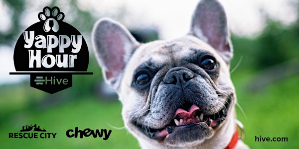 Drinks and Dogs: A Networking Yappy Hour brought to you by Hive
