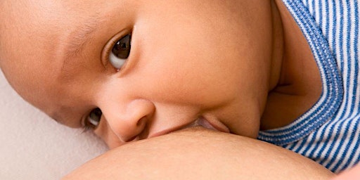 Free Breastfeeding Information Session primary image