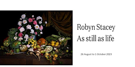 Robyn Stacey: as still as life | Exhibition Launch & Curator Talk primary image