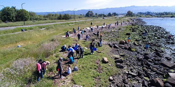 Cal Alumni Day of Service 2019 | Earth Day