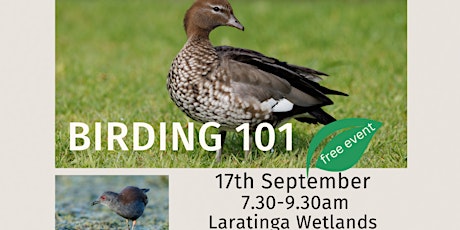 Imagen principal de Birding 101 at Laratinga Wetlands