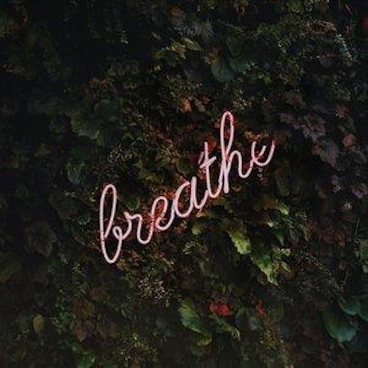 the text 'breathe' in pink over green leafy background