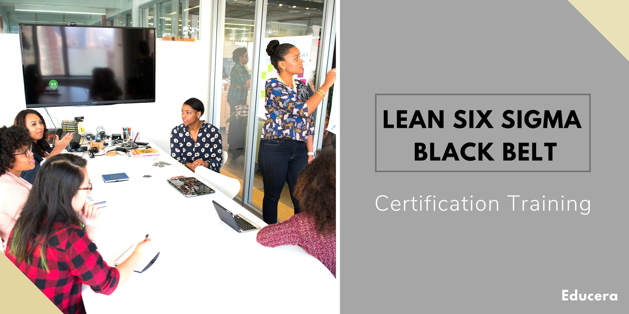 Lean Six Sigma Black Belt (LSSBB) Certification Training in Lexington, KY
