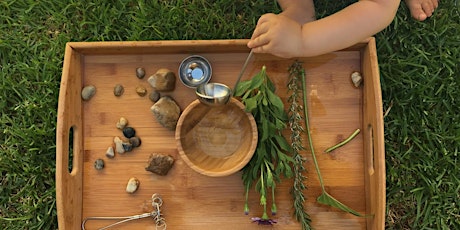 Wild Tots Nature Play for 1- 4 year olds - Fun with Nature - Plant 4 Bowden primary image
