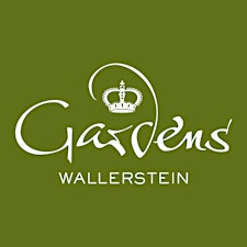 Veranstalter-Profilbild