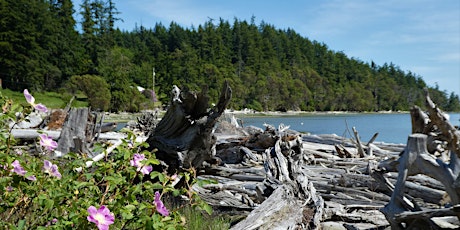 Living Amidst Camano's Bluffs, Wetlands, and Forests primary image