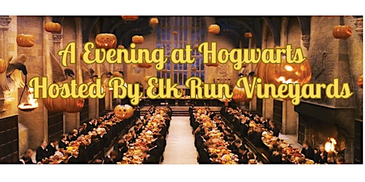 An Evening at Hogwarts 2024 primary image