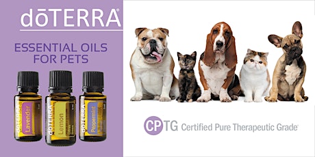 Essential Oils & Pets/Animals in Support of Wishing Well Animal Sanctuary primary image