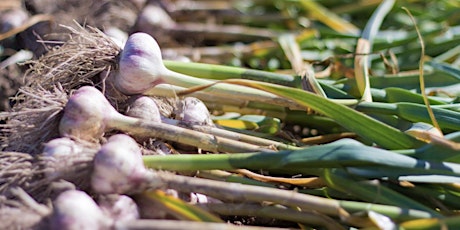 Snowplace Farm Garlic Dinner primary image
