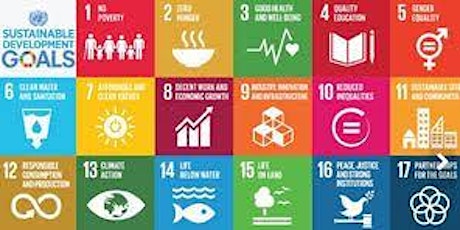Is Brexit sidelining  progress of   the Sustainable Development Goals? primary image