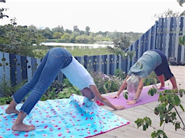 Yoga by the Loch primary image