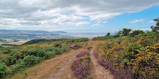 Hauptbild für 80 Miles in Eight Days Challenge