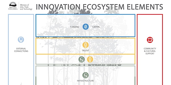 TechDevBC Comox Valley: Building and Supporting the Local Innovation Ecosystem 