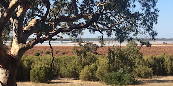 Coorong South East Flows Tag-along tour and overnight at Cantara  