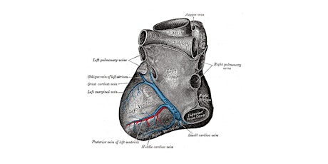 SHDA | Left Atrium Symposium primary image