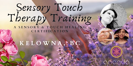Image principale de Sensory Touch Therapy Training Level 1 with Ananda Cait