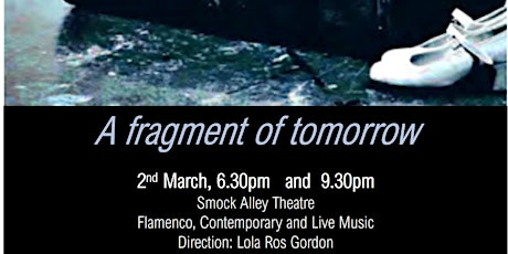 Flamenco Show: A fragment of tomorrow primary image