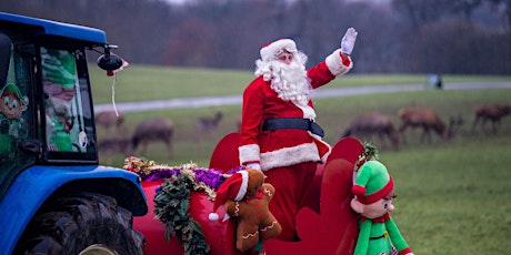 Santa Deer Feeds primary image