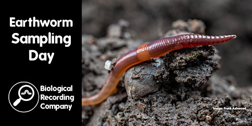 Hauptbild für Earthworm Sampling Day