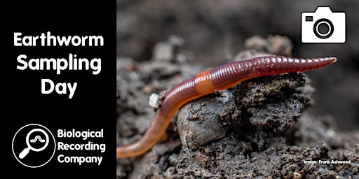 Hauptbild für Earthworm Sampling Day