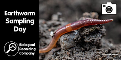 Primaire afbeelding van Earthworm Sampling Day