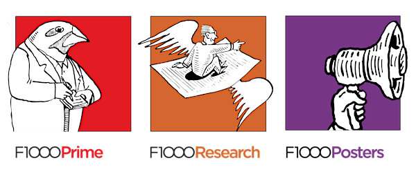 F1000 reference management  focus group