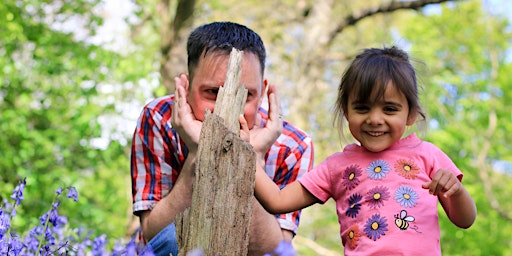 Imagem principal de Eco Fair at Carlton Marshes children's activities