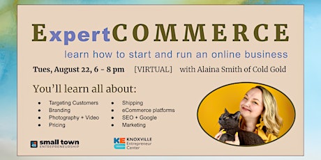 Expert Commerce Fast Pass - How to Start and Run a Business Online  primärbild