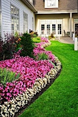 Lawn Care Maintenance primary image