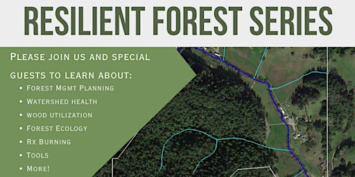 Imagem principal do evento Resilient Forest Series