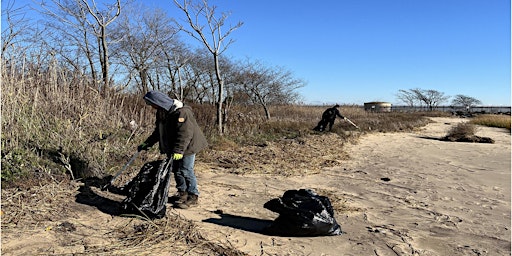 Hauptbild für Hamilton Beach Park Shoreline Cleanup