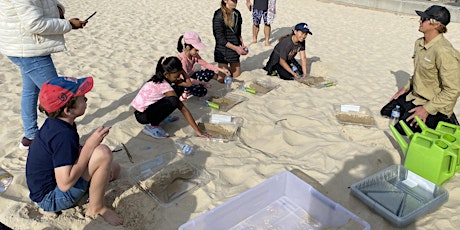 Sandcastles and Science (Session 2)  - Miami