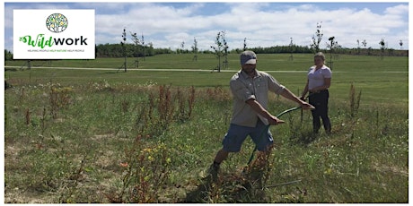 Meadow Management and Seed Saving primary image