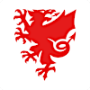 The Football Association of Wales's Logo