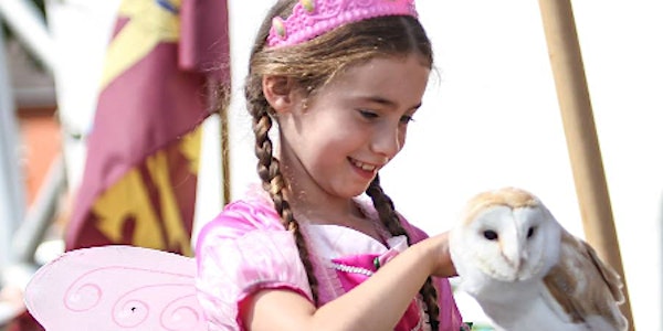 The Legendary Llangollen Faery Festival