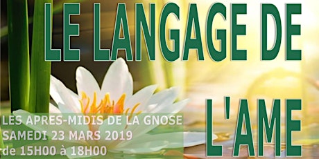 Image principale de Les Après-midis de la Gnose : Le langage de l'Âme