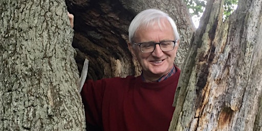 Primaire afbeelding van Roger Crofts: The Future of Trees (Helensburgh)