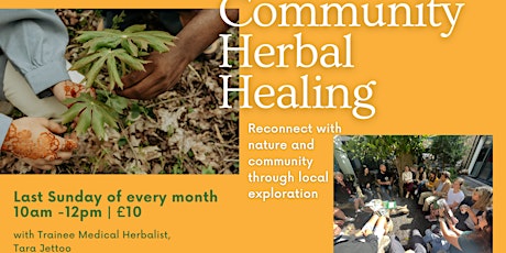 Community Herbal Healing: Reconnect with nature through  local exploration