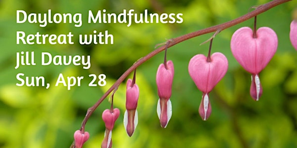 Daylong Mindfulness Retreat with Jill Davey