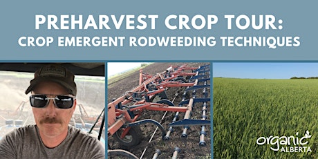 Imagen principal de Preharvest Crop Tour: Crop Emergent Rodweeding Techniques