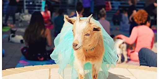 Hauptbild für Goat Yoga @ Bedford Library